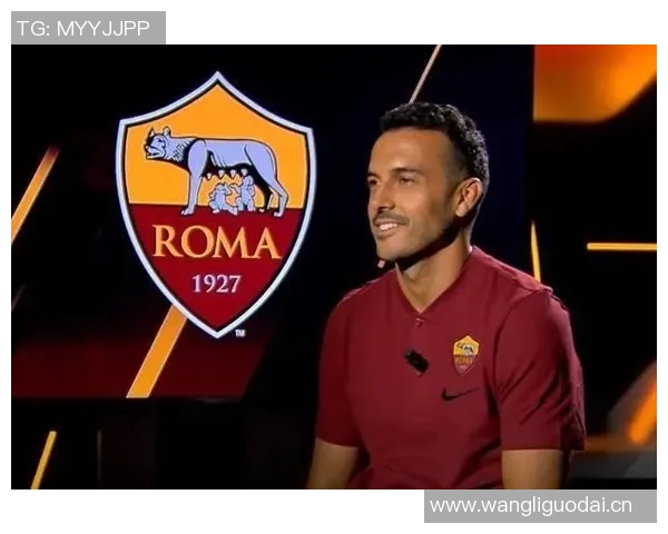 佩德罗内托与佩德罗贡萨尔维斯因伤缺席葡萄牙国家队大名单调整