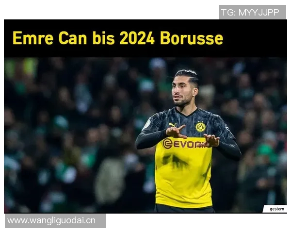 埃姆雷詹展望未来希望继续留在多特并争取欧冠资格