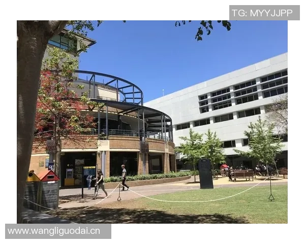 克林根身边杨瀚森难以突破罗威健康状态下更具影响力