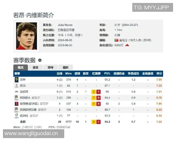 葡萄牙豪华阵容解析中场双核与后防新星的完美组合